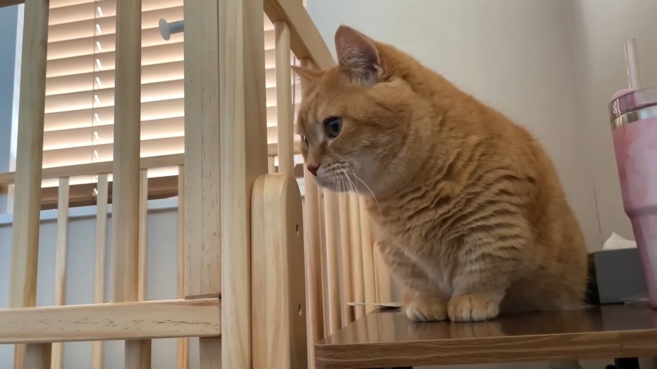 ベッド横のプリンくん