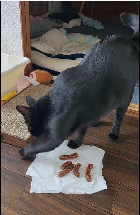 ティッシュをひっかいている猫