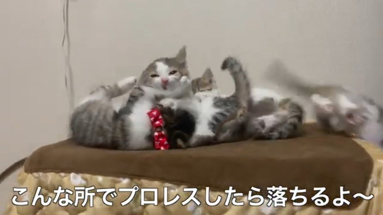 こんな所で(右端の子が落下)