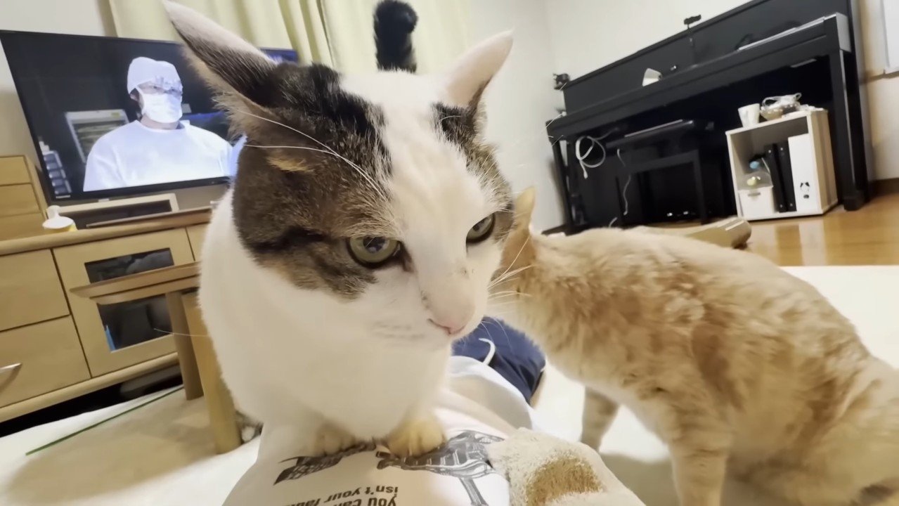 座り込む姿