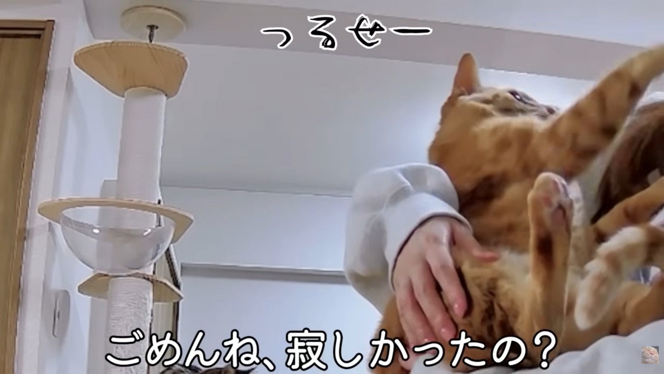 テロップ「ごめんね、寂しかったの？」