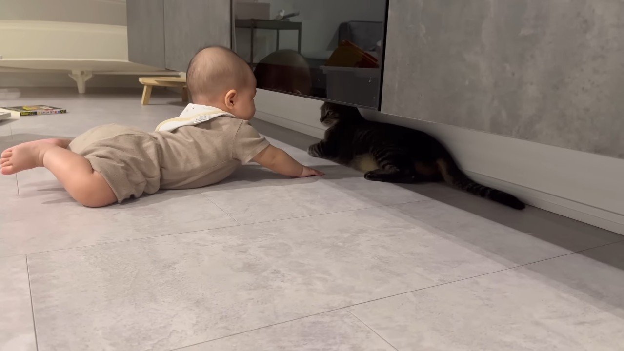 テレビボード下に手を伸ばす赤ちゃん