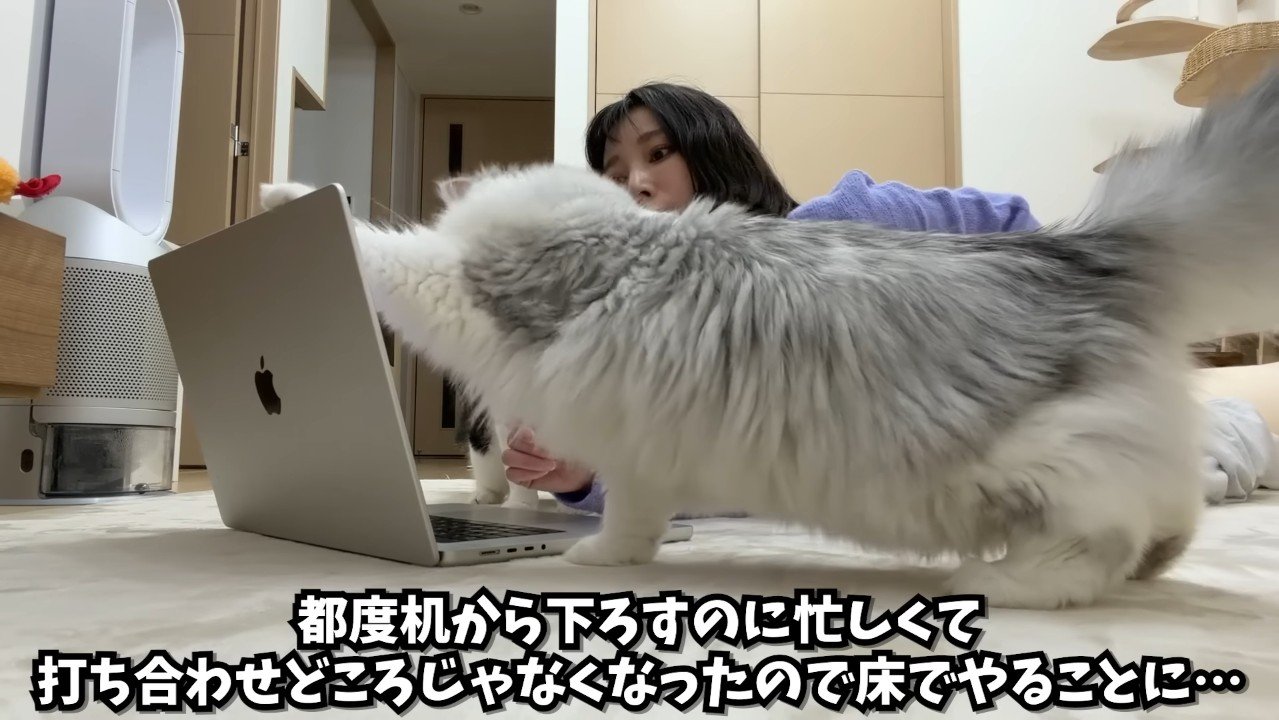 打ち合わせどころじゃなくなったので