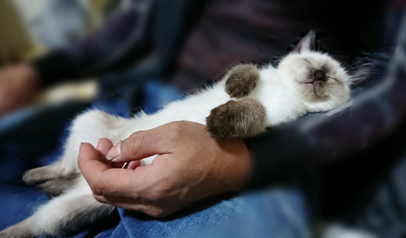 0歳のこじろーくん