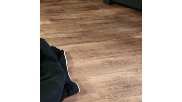 制服で寝転ぶ猫