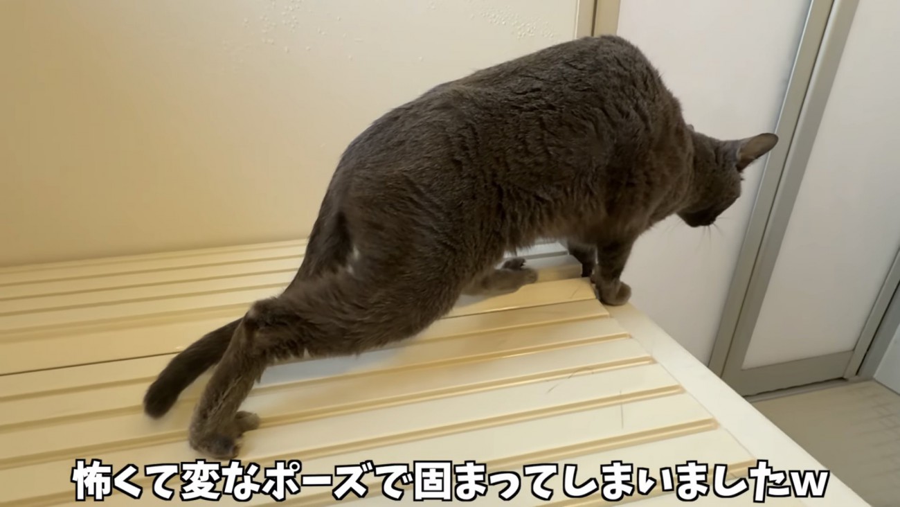 「怖くて変なポーズで...」のテロップ写真