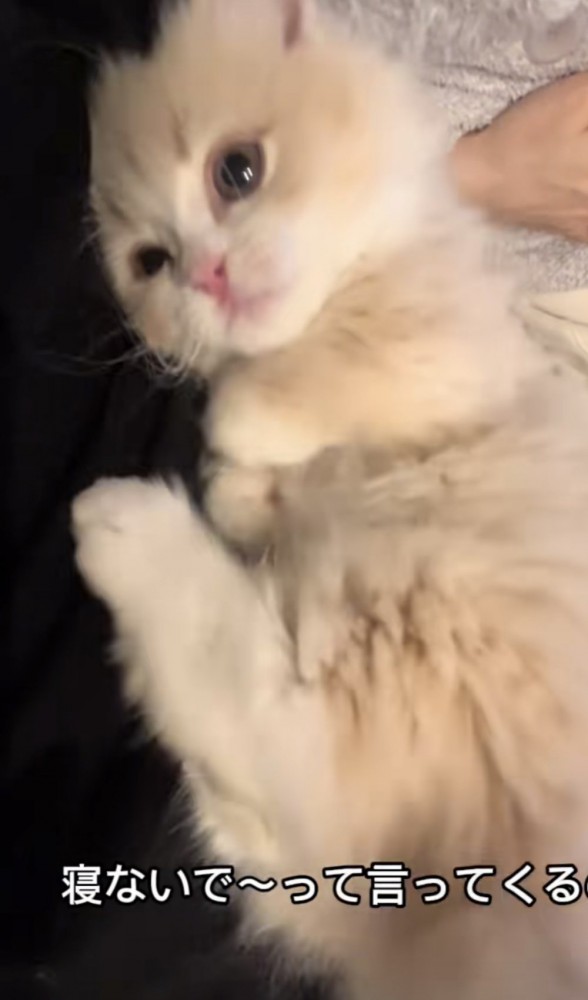 「寝ないで～...」のテロップ写真