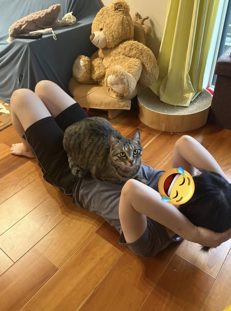 仰向けになっている女性の腹に座る猫