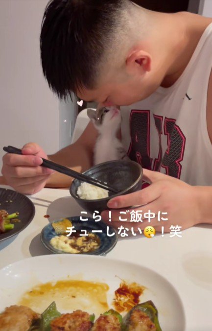 食事中の男性と子猫