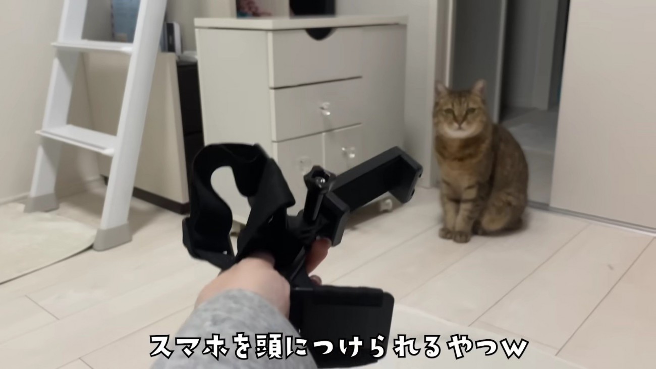 ヘッドマウント式スマホ固定スタンドをみにらくんに見せる飼い主さん