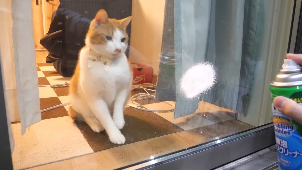 目を細めるチップくん