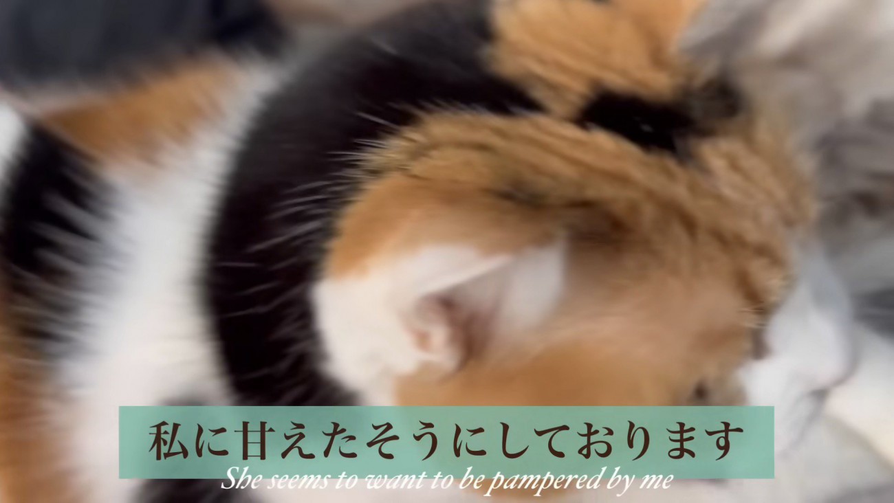 主に甘える写真