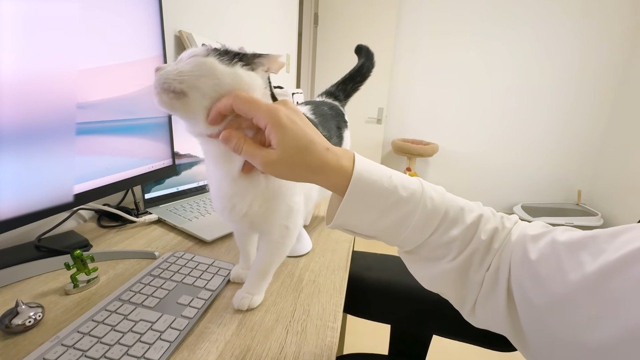 なでなで