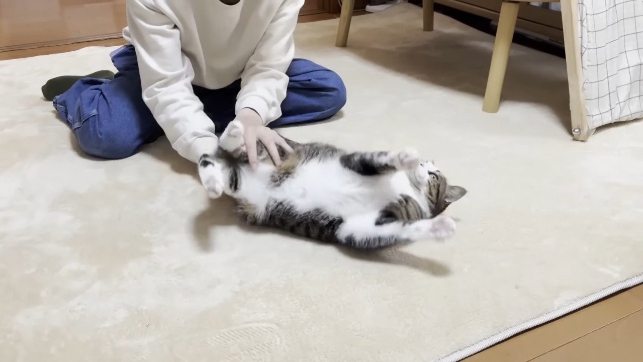 向かって左に転がされ中