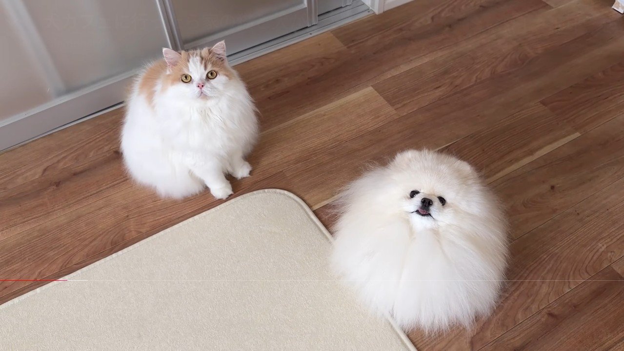 見上げるふたり
