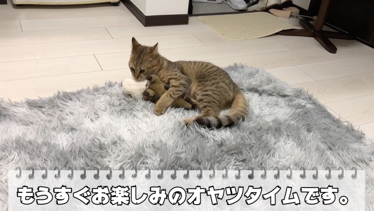 このあとはおやつタイム