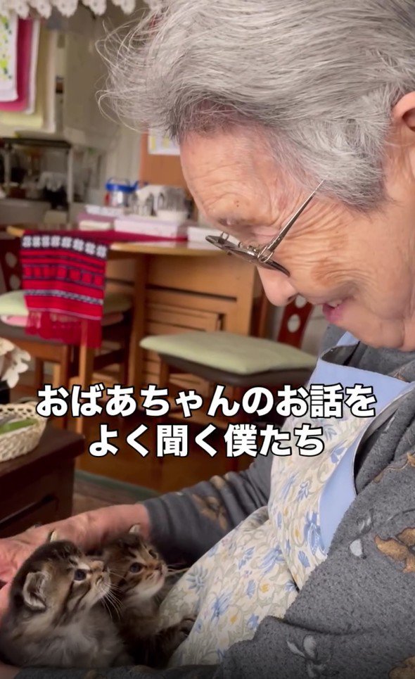 おばあちゃんと2匹の子猫