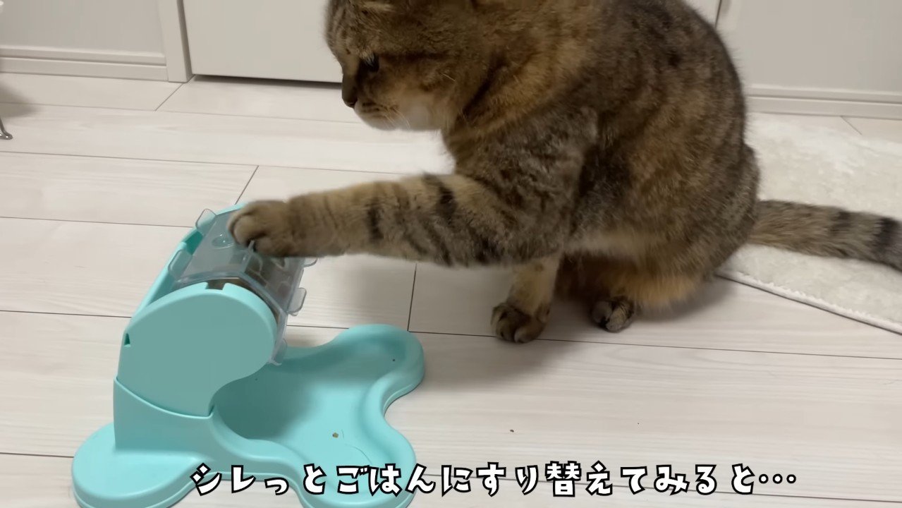 シレッと