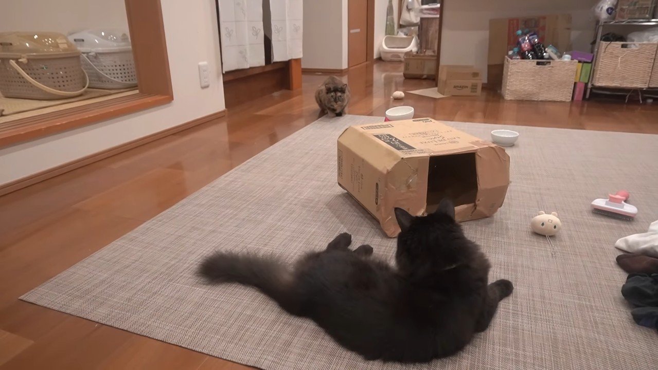 向き合うふたり