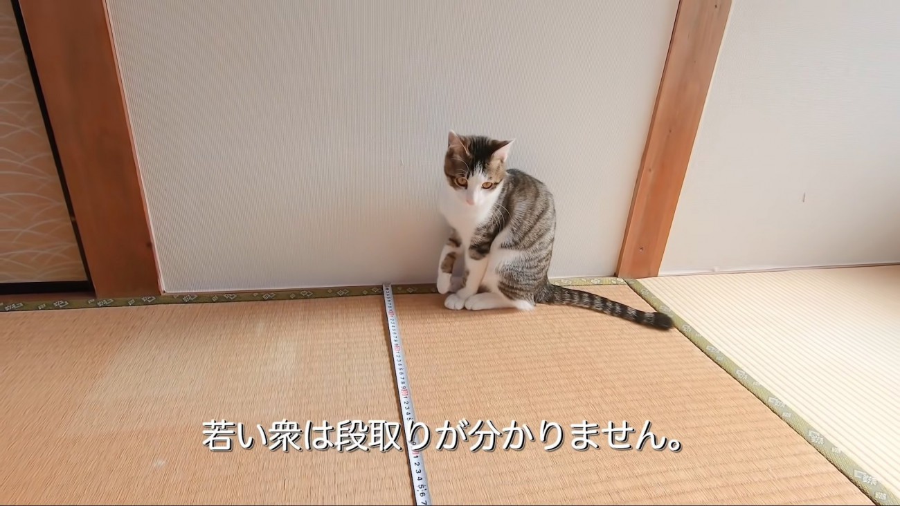 テロップ「若い衆は～」