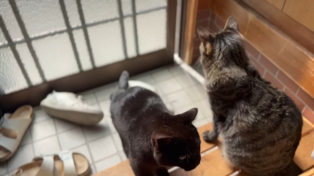 すれ違うふたり