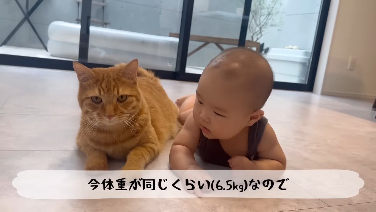 今体重が同じくらい