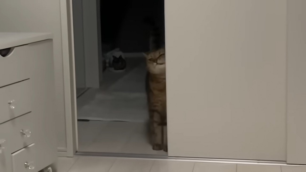 ドアにスリスリ