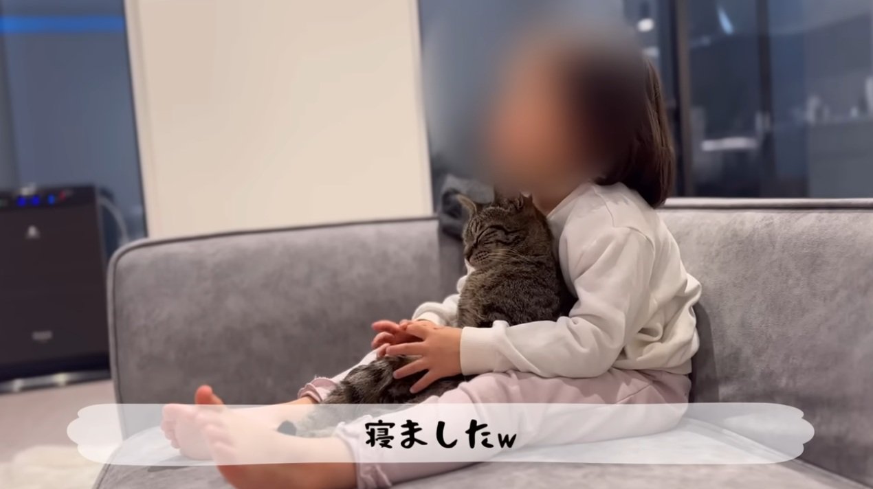 女の子に抱かれて猫