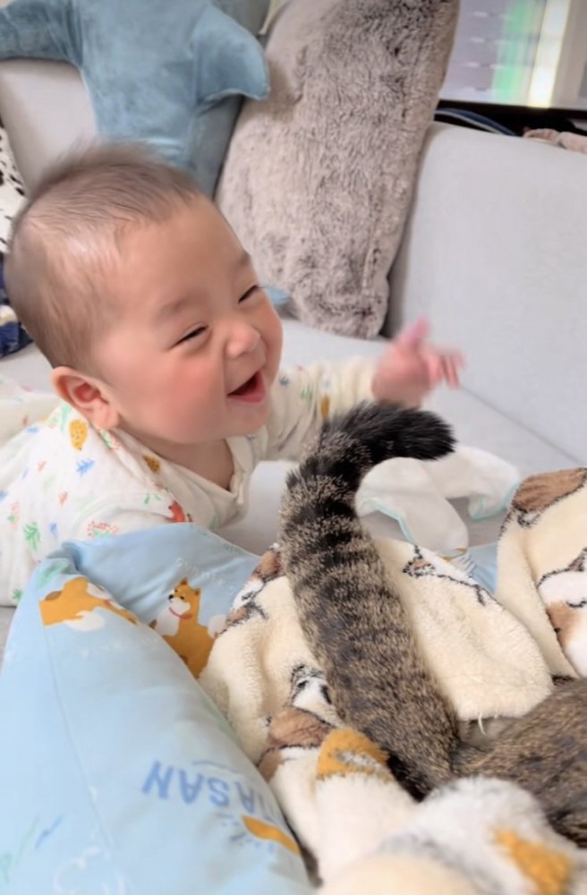 赤ちゃんを尻尾であやすキジトラ猫