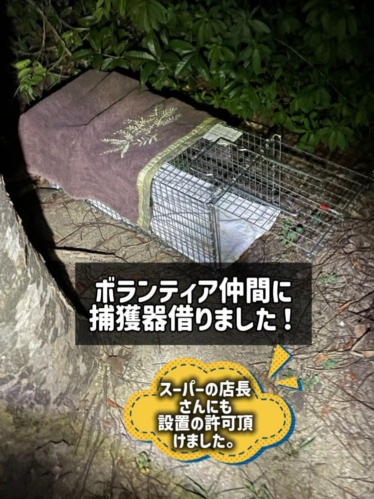 捕獲器