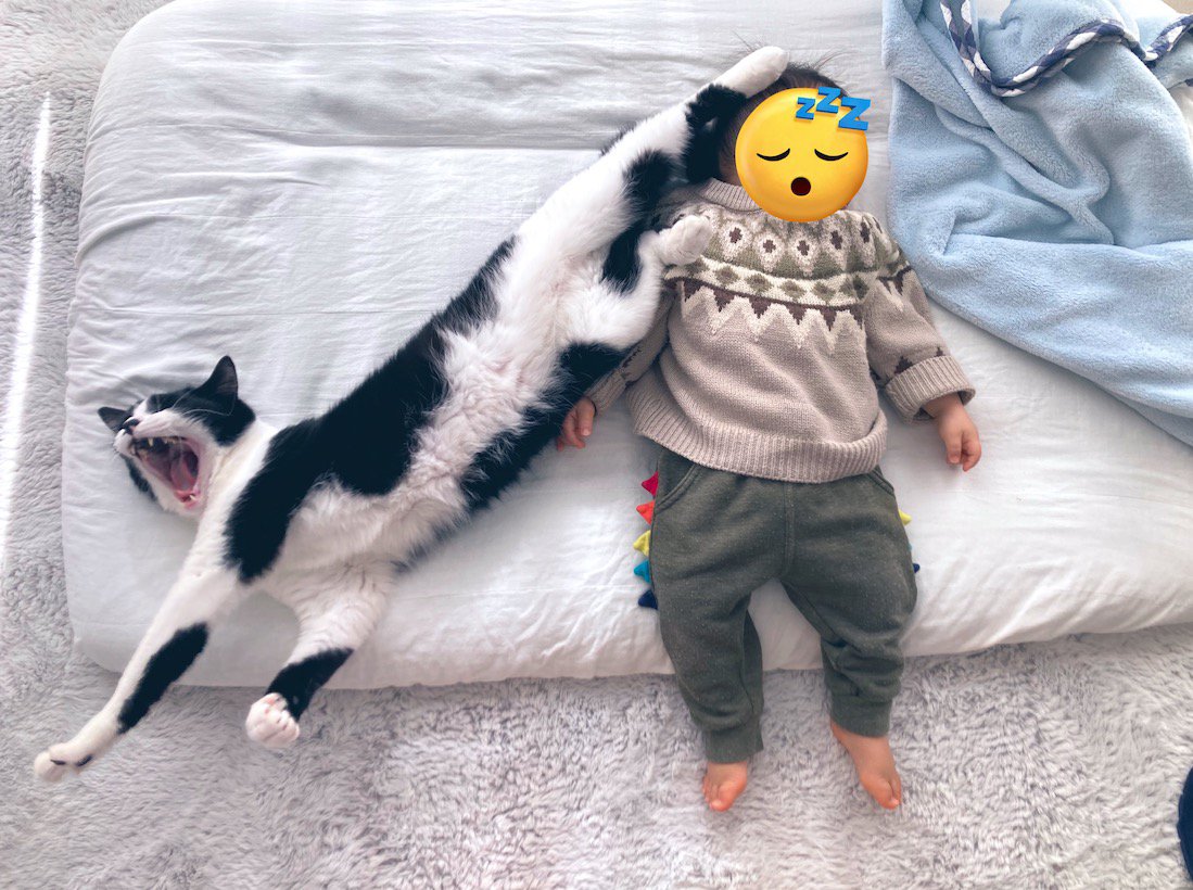 赤ちゃんの頭に後ろ足を乗せて寝そべる猫