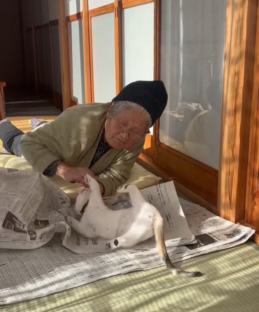 おばあちゃんに前足を伸ばす猫