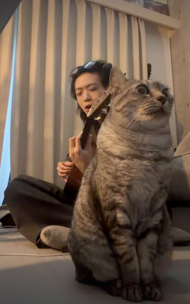男性の手前で演奏を聴く猫