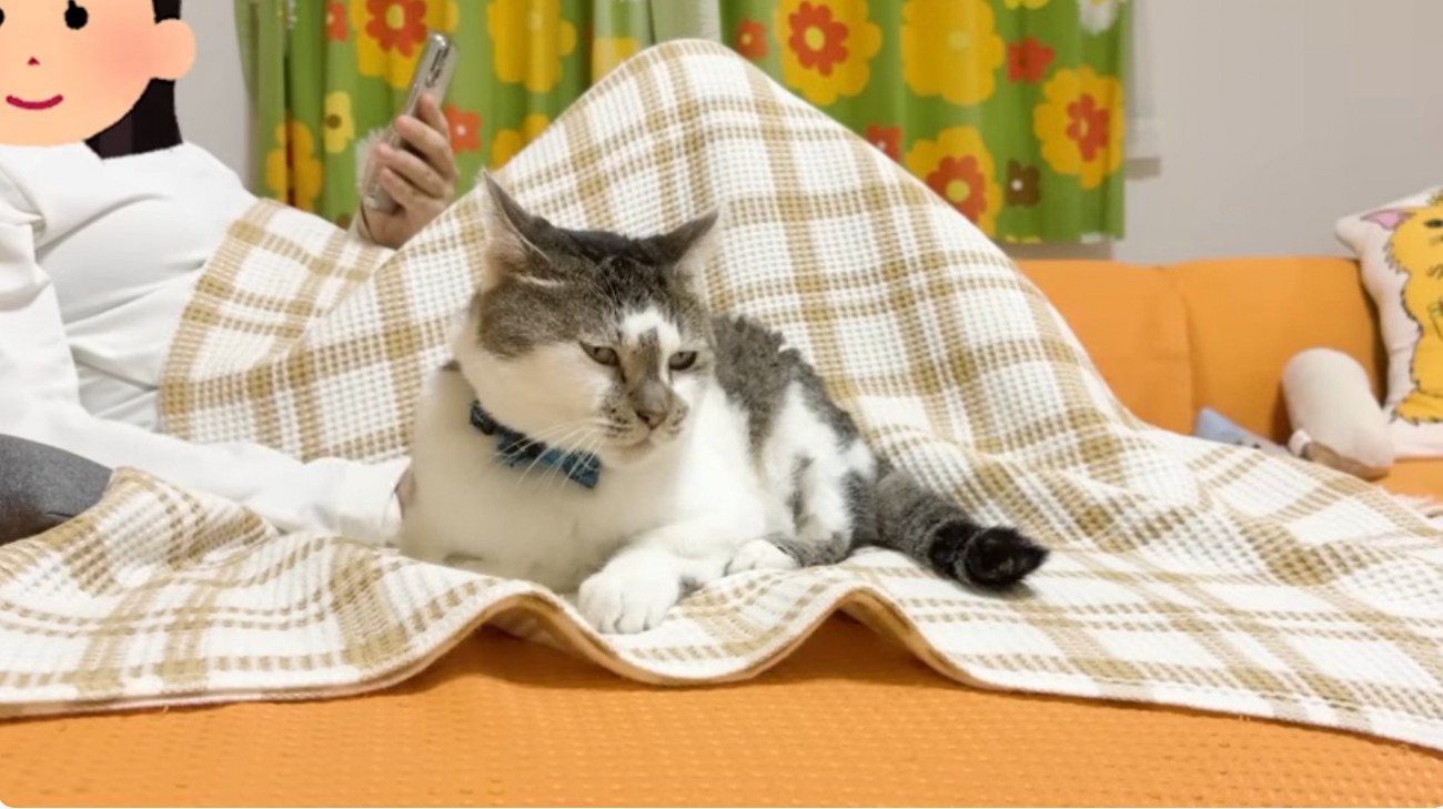 ソファにいる女性と猫