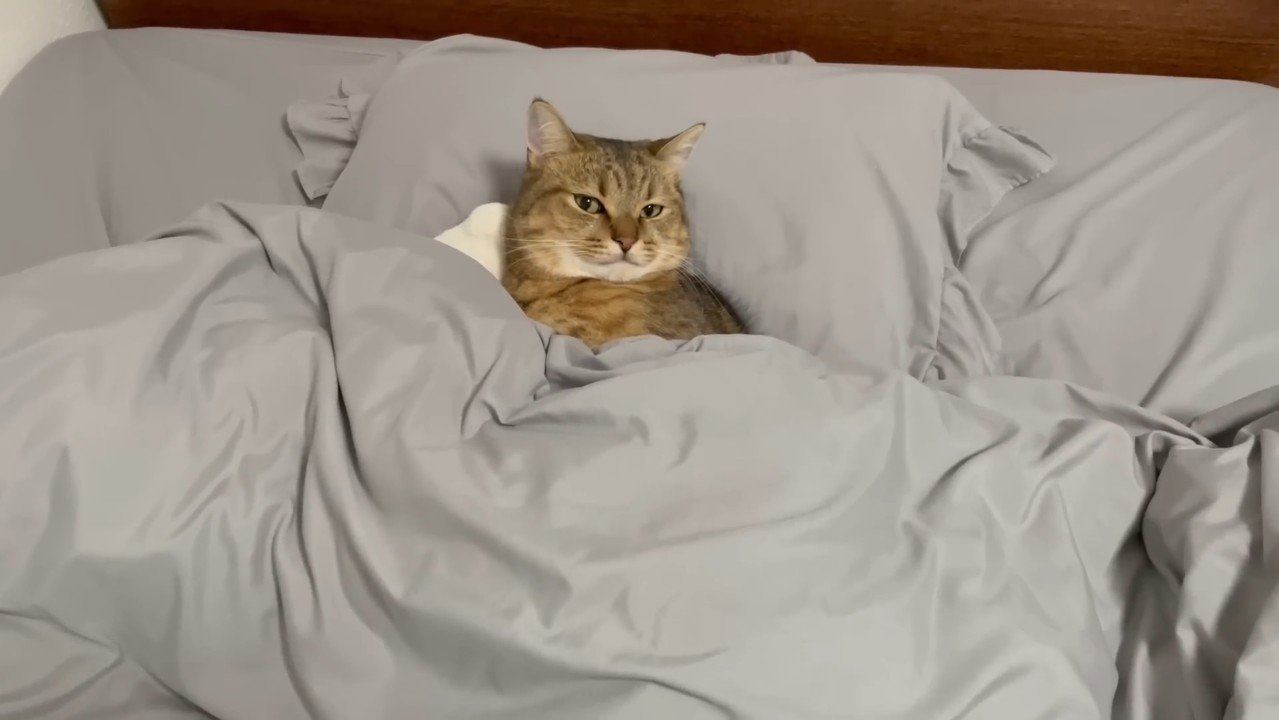 上から(目を開けた顔)