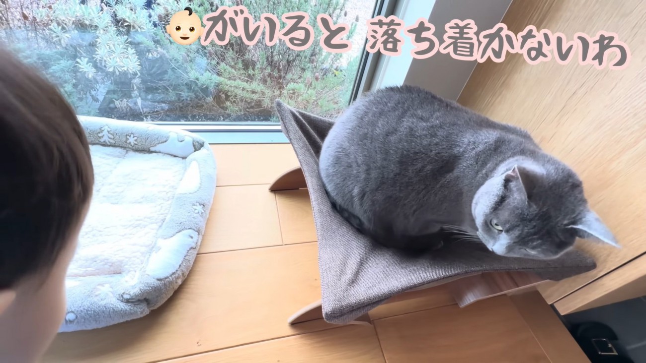 テロップ「赤ちゃん（絵文字）がいると～」