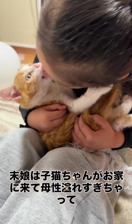 子猫を抱く女の子