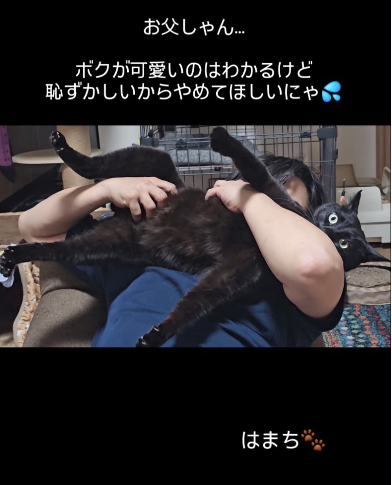 猫吸いする男性