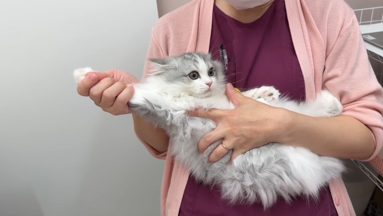 腕を伸ばしたポーズ