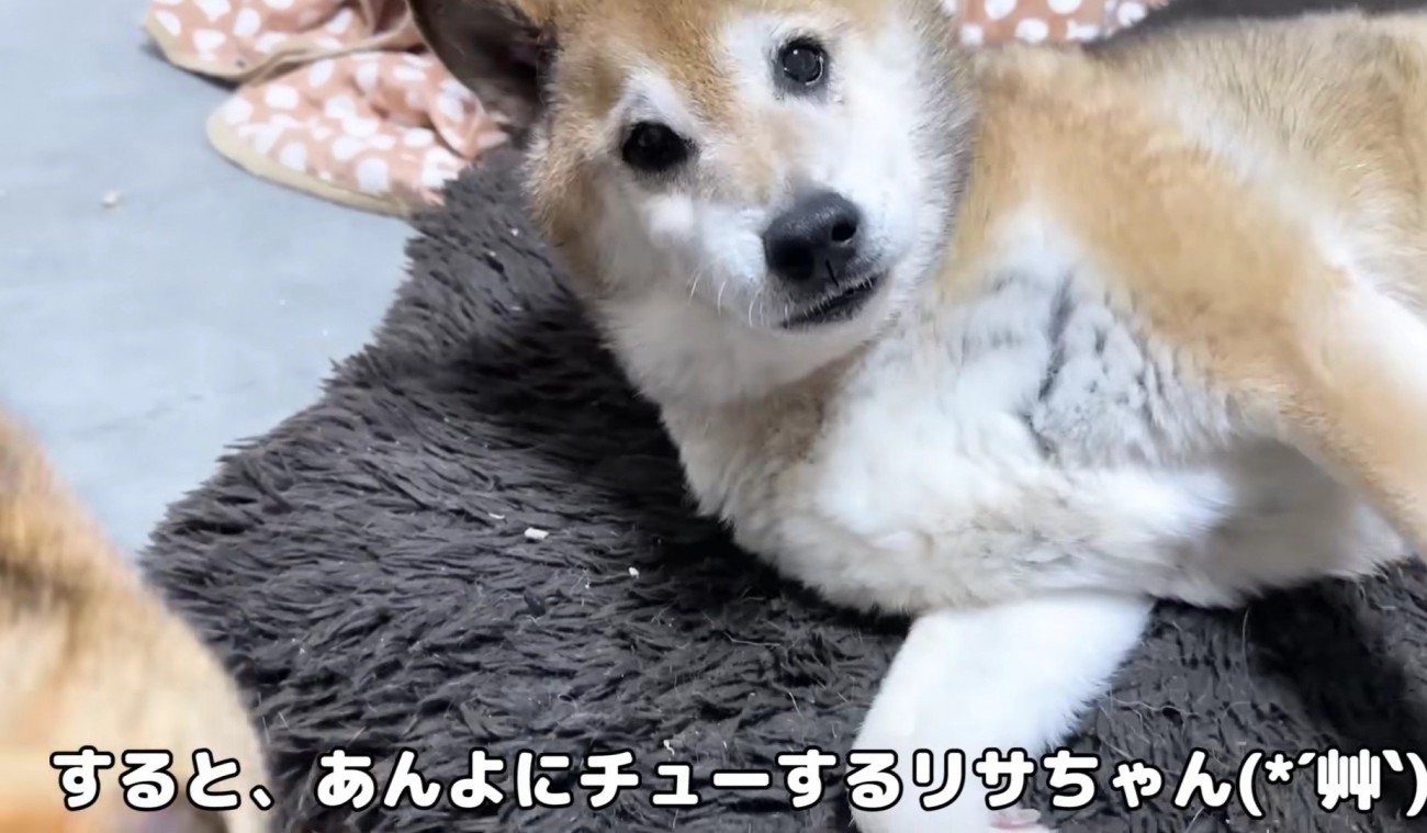 びっくりするリキくん