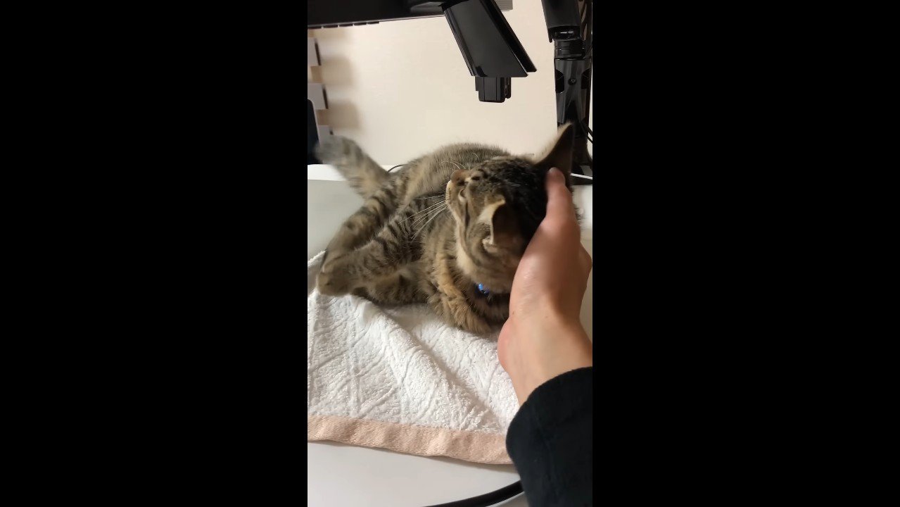 倒れる子さもじくん