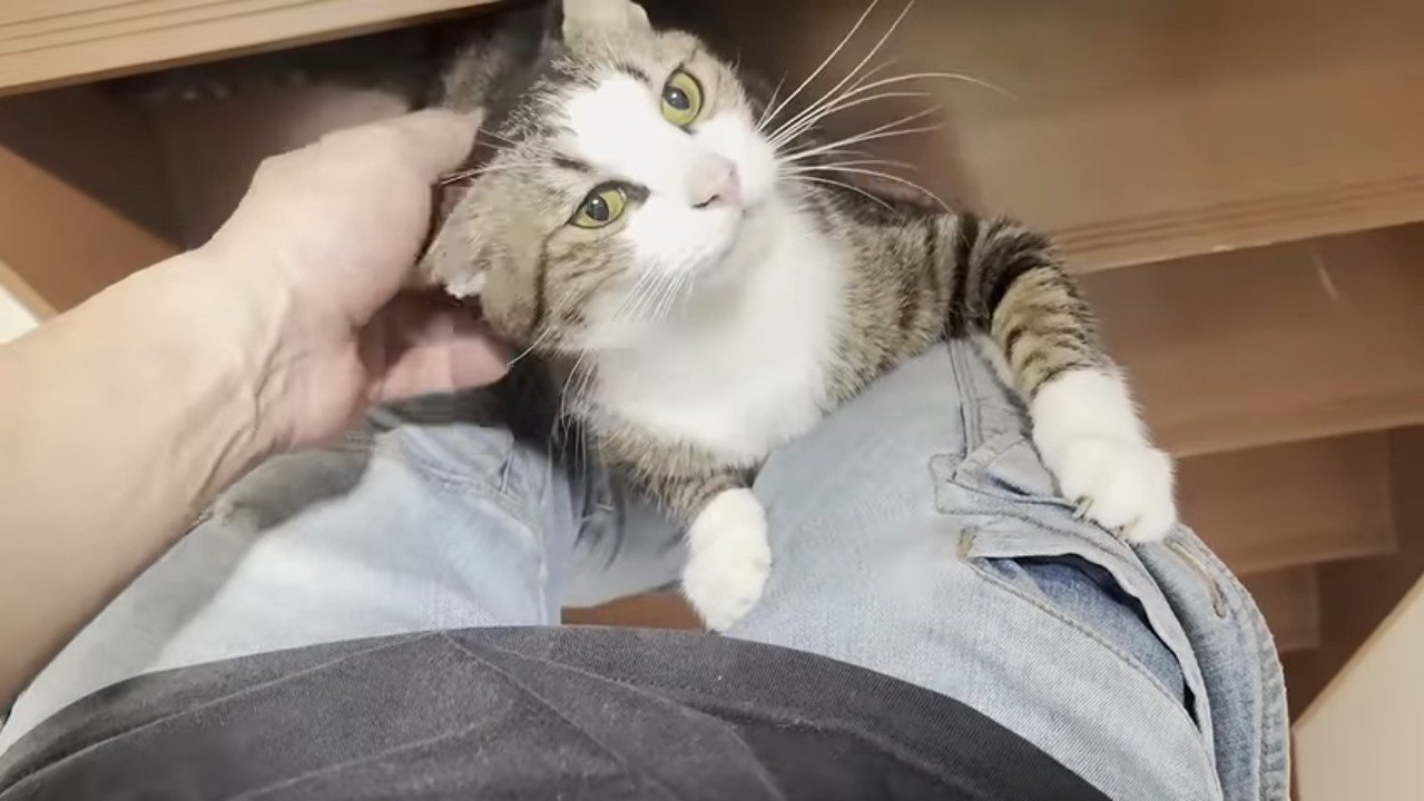 掴まり立ちでなでなで
