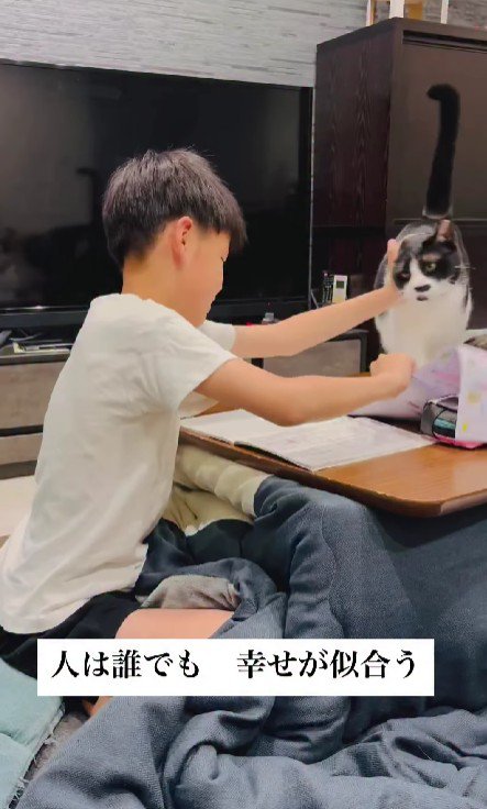 宿題の邪魔をする猫