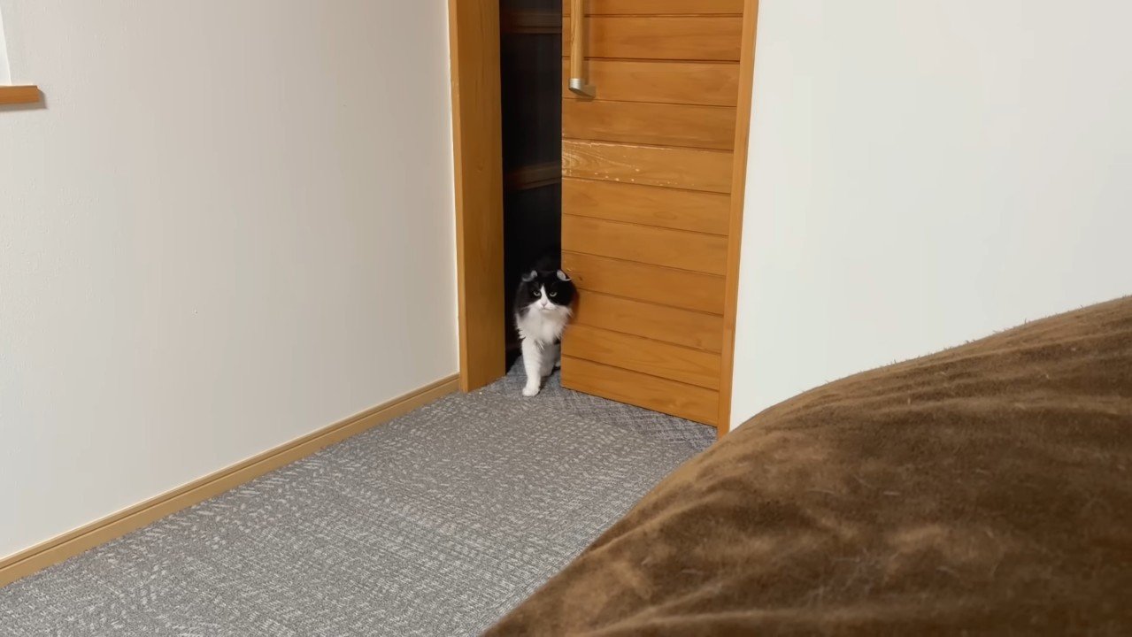 部屋に入るこころちゃん