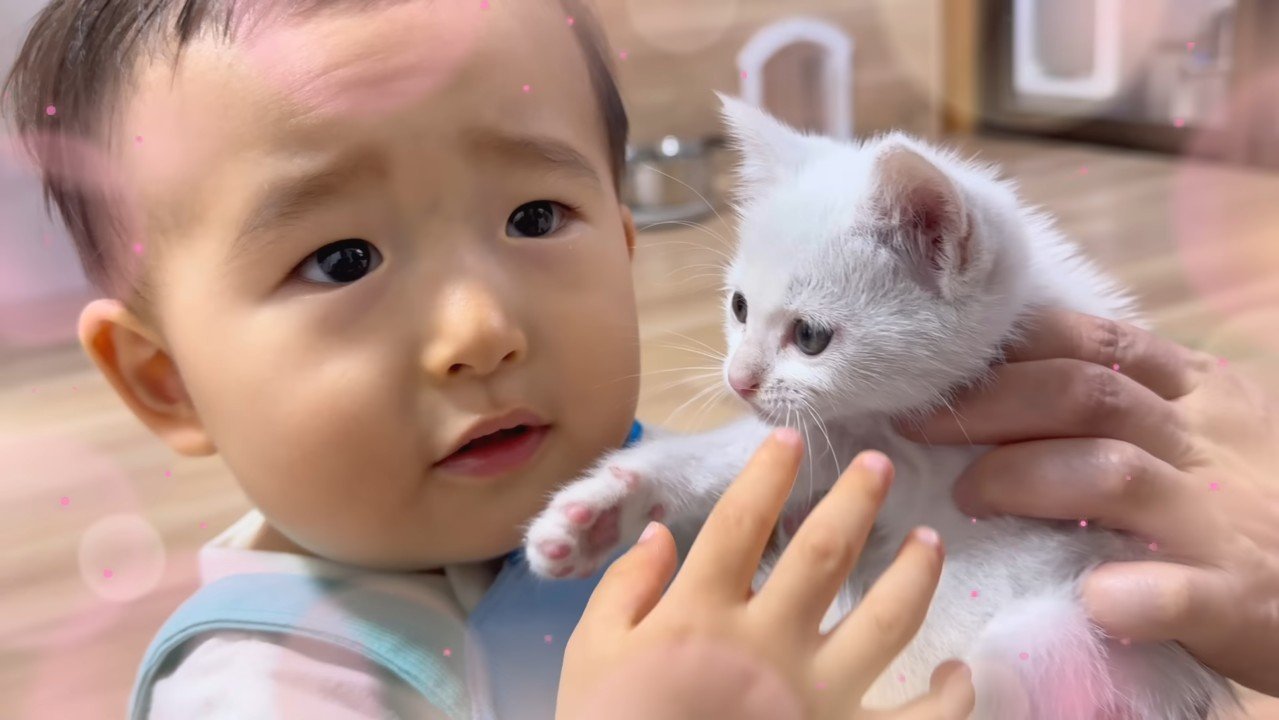 赤ちゃんとゆめこちゃんのアップ