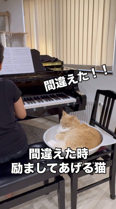 ピアノを弾く家族