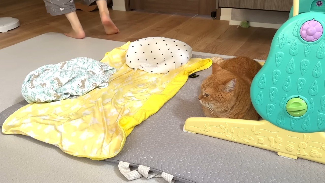 横を向いた姿