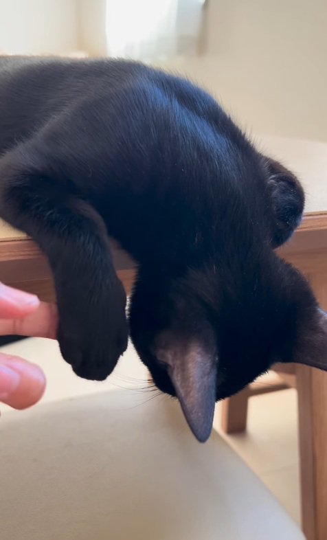 熟睡