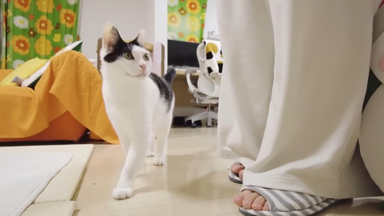 足元にいるホルンくん