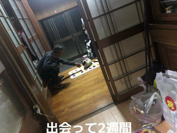 おじいちゃんと猫